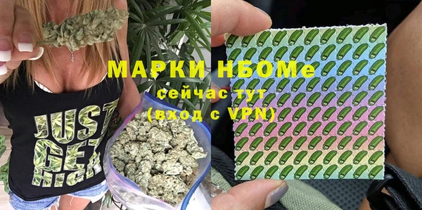 сатива Алзамай