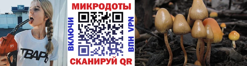 закладки KRAKEN маркетплейс Псилоцибиновые грибы Psilocybe Павловский Посад