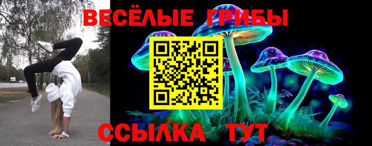 Псилоцибиновые грибы ЛСД  Вход с VPN  Павловский Посад 