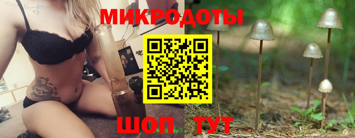 Псилоцибиновые грибы прущие грибы Павловский Посад