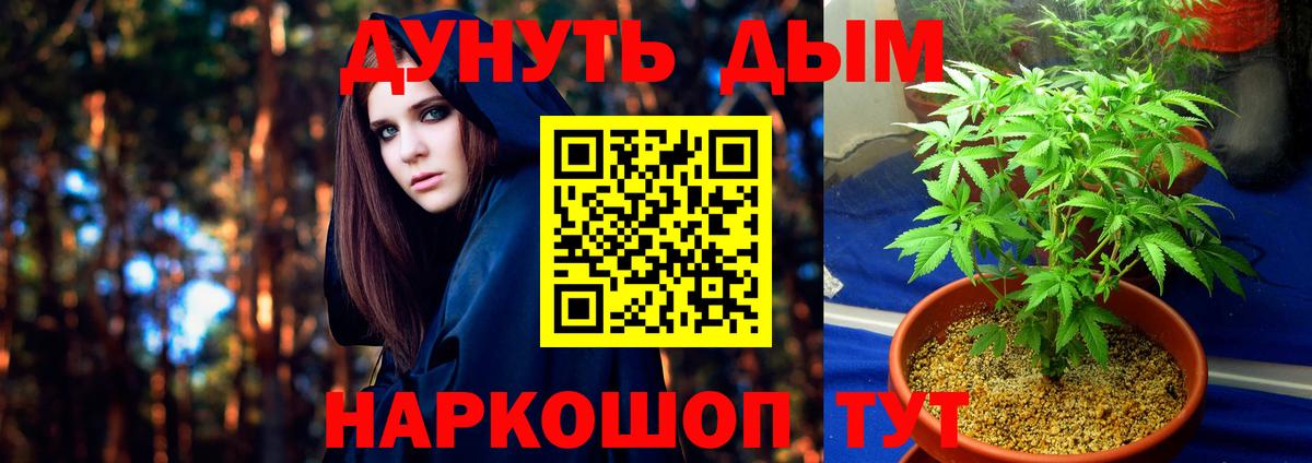 Павловский Посад  Шишки марихуана OG Kush  Вход с VPN  Шишки марихуана индика 